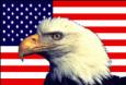 WE WILL NEVER FORGET